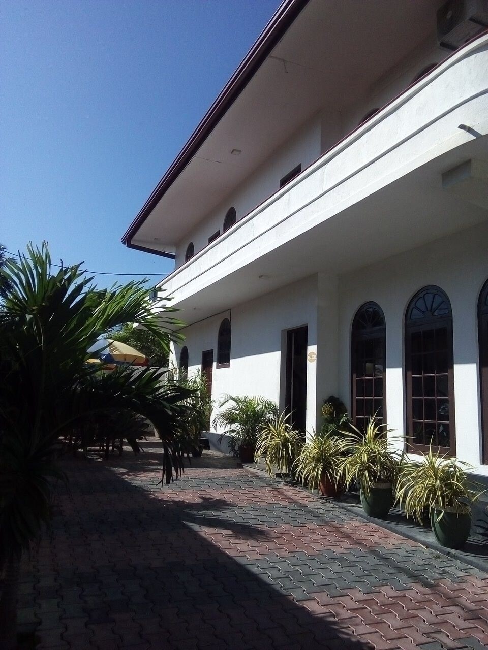 Zdjęcia Italia Beach 2*